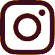 instagram icon